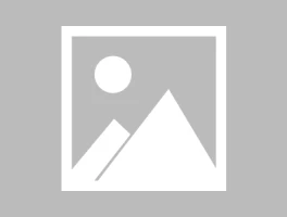 Arista Networks' Q3: Revenue Growth vs. Stock Price – What We Know